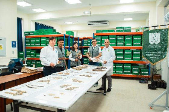 IFA-LAB-PLANTAS-HERBARO-001