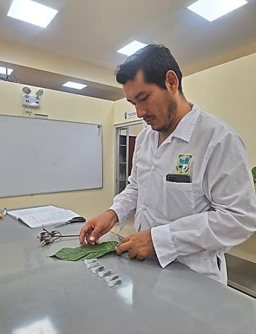 IFA-OFICIO N°335- 2025- alcanzo informacion para pagina web-117